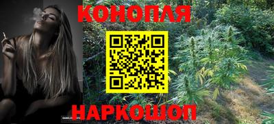 прущие грибы Кунгур